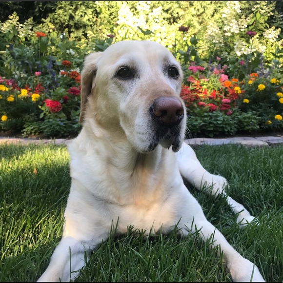 Meet your Posher, Jaclyn - Picture 3 of 7